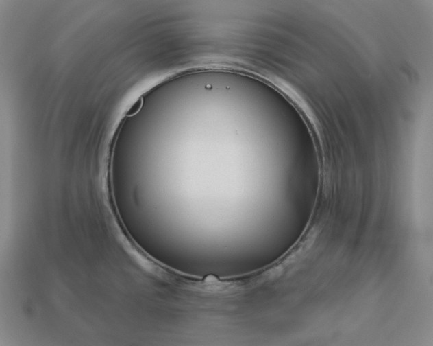 X0000112941437200909071045