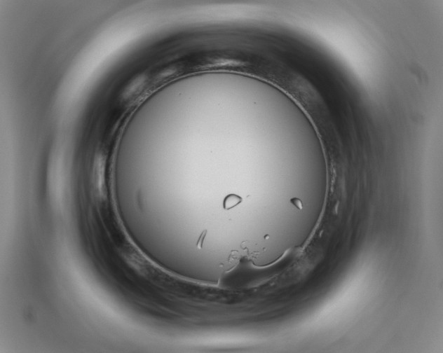 X0000112941439200909071045