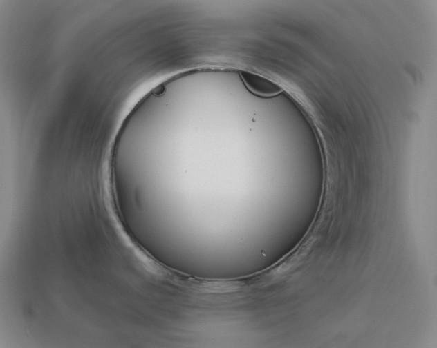 X0000112941440200909071045