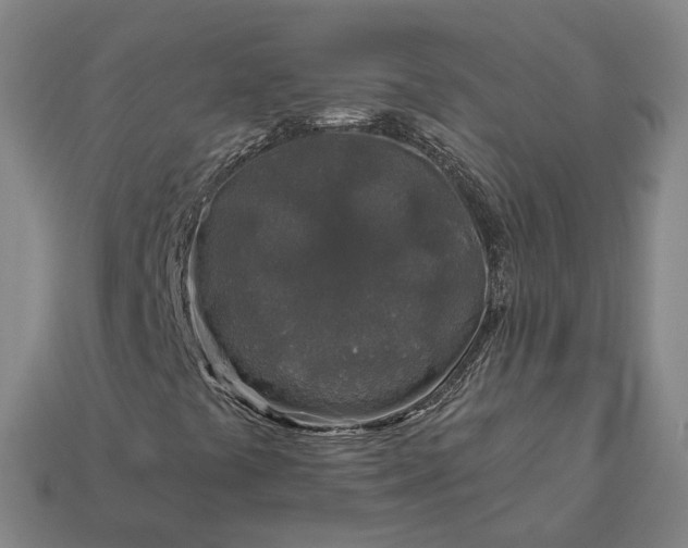 X0000112941441200909071044