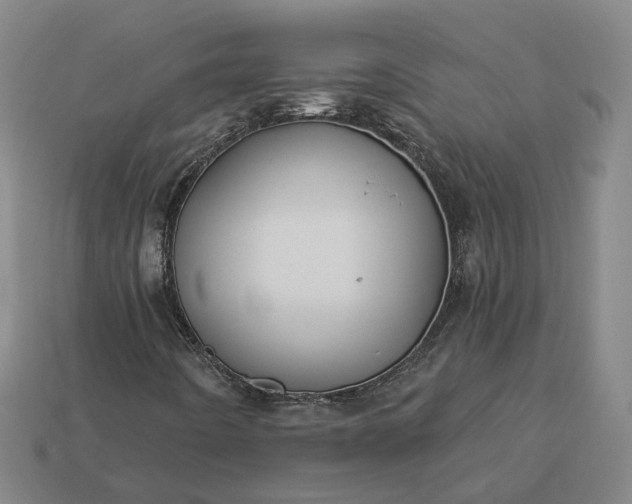 X0000112941442200909071044