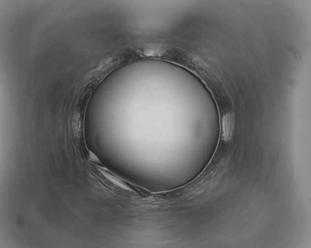 X0000112941443200909071044