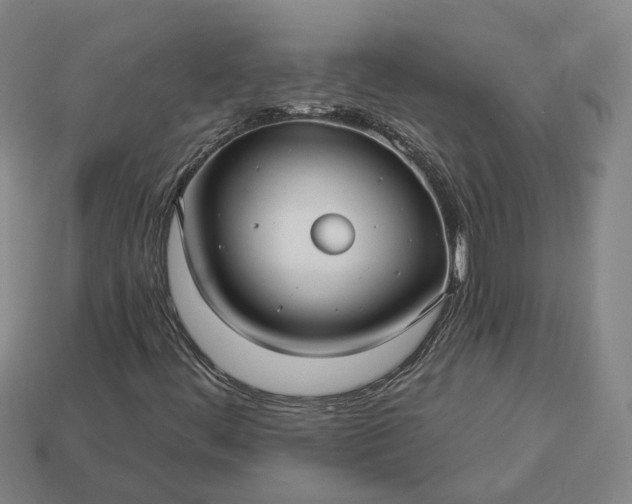 X0000112941444200909071044