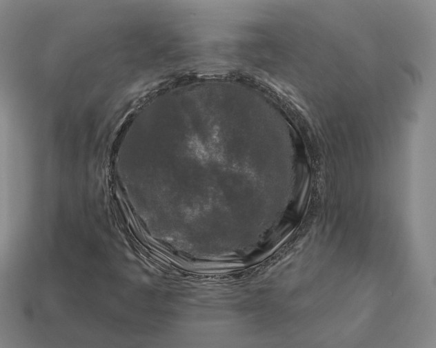 X0000112941445200909071044