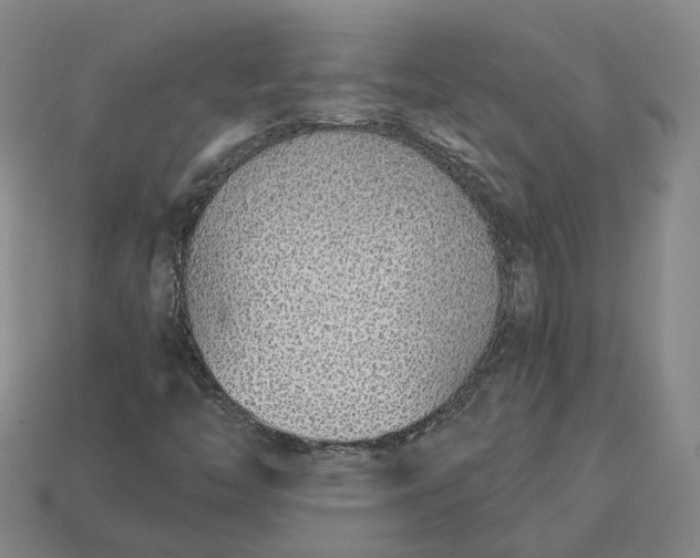 X0000112941446200909071044