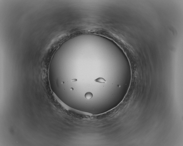 X0000112941447200909071044