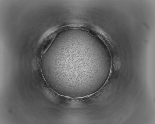 X0000112941448200909071044