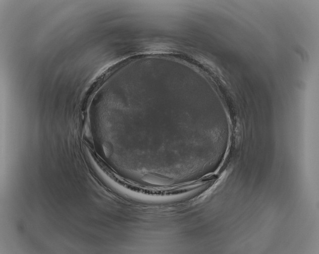 X0000112941449200909071044