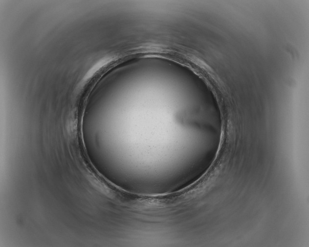 X0000112941450200909071044