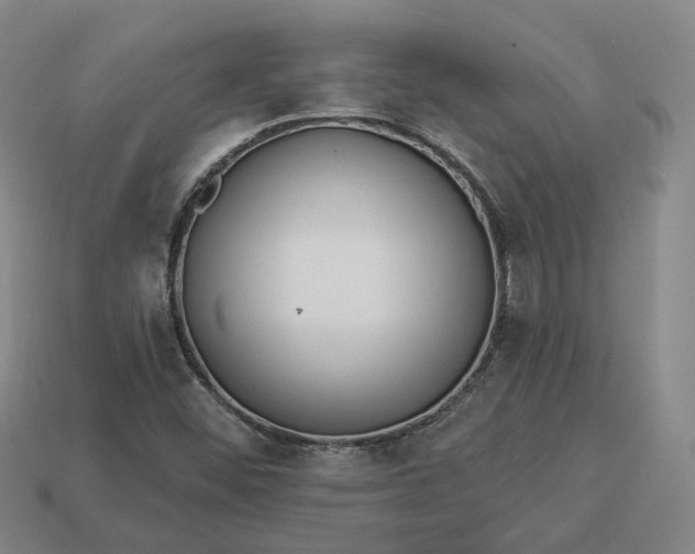 X0000112941452200909071044