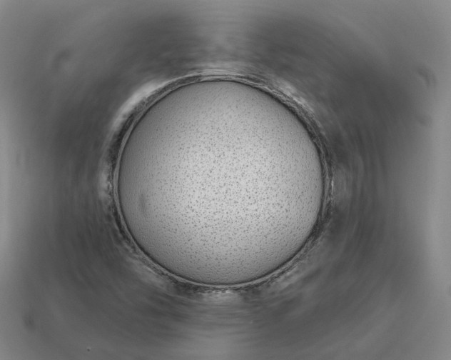 X0000112941454200909071044