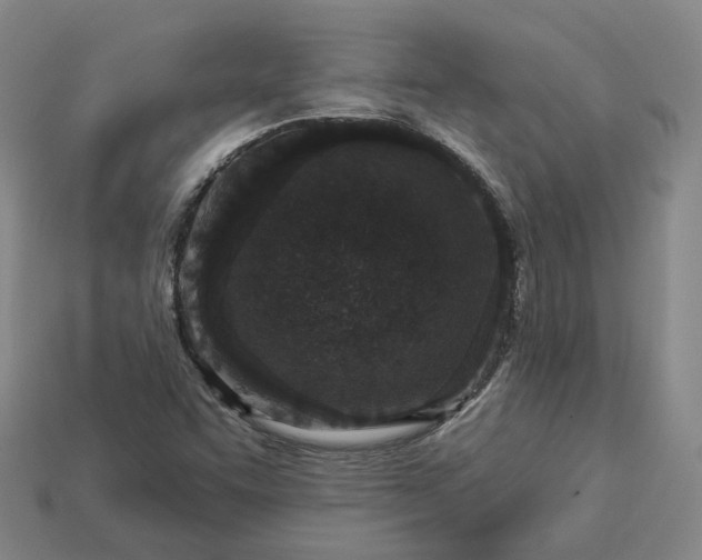 X0000112941455200909071044