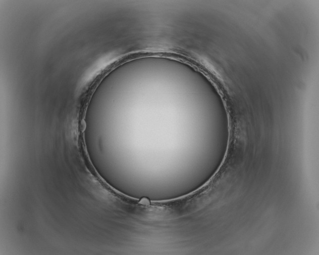 X0000112941456200909071044