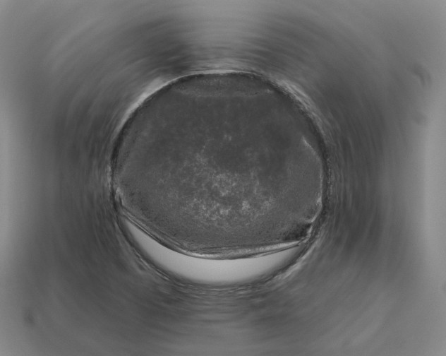 X0000112941457200909071044