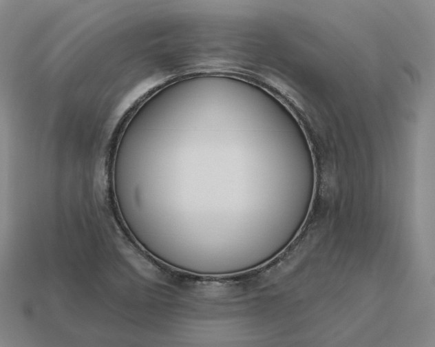 X0000112941458200909071044