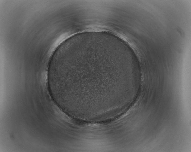 X0000112941459200909071044