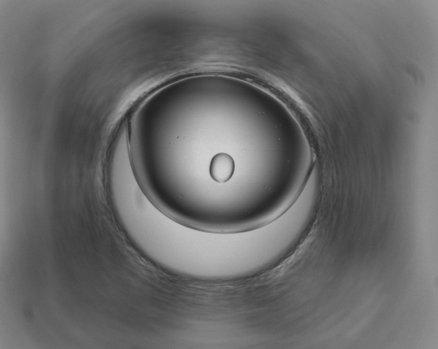 X0000112941461200909071044