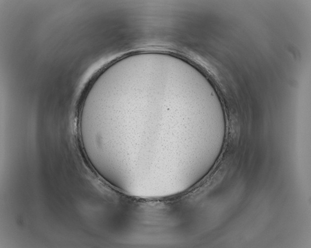 X0000112941462200909071044