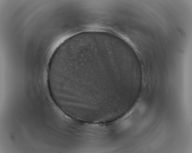 X0000112941463200909071044