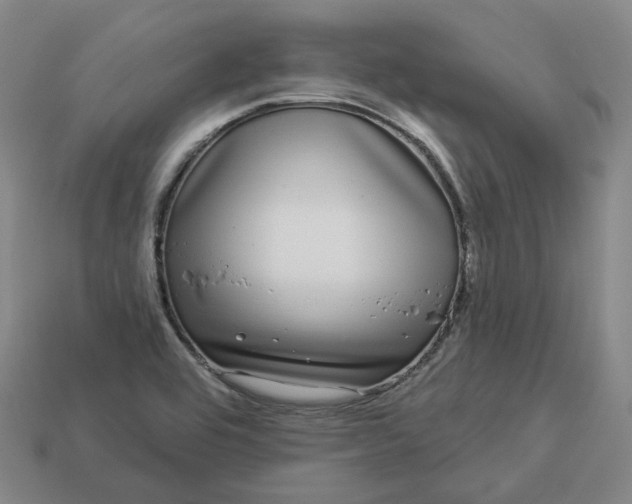 X0000112941464200909071044