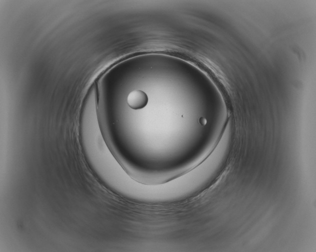 X0000112941465200909071044