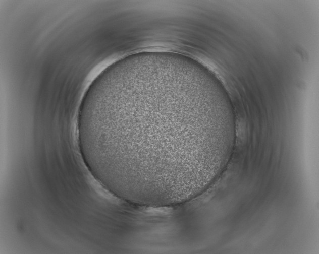 X0000112941466200909071044