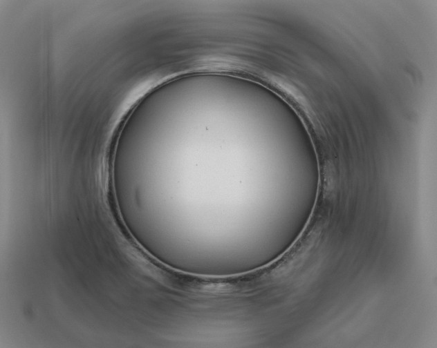 X0000112941467200909071044