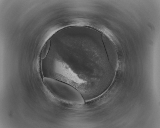 X0000112941468200909071044