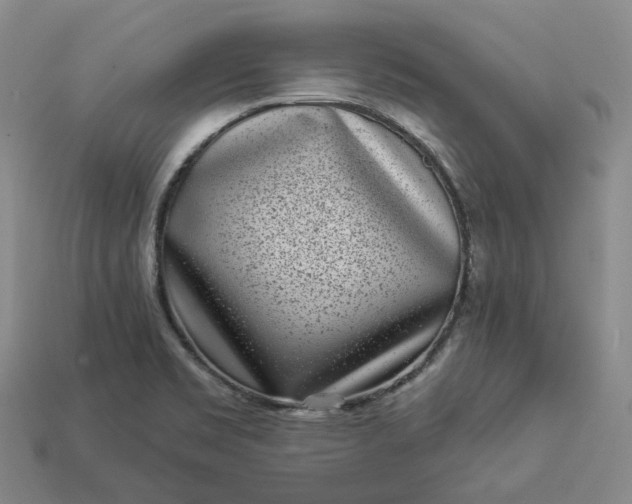 X0000112941469200909071044