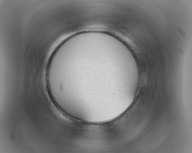 X0000112941470200909071044