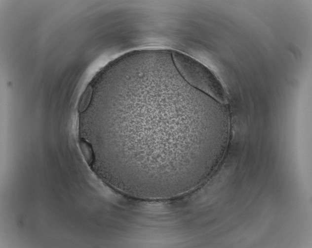 X0000112941472200909071044