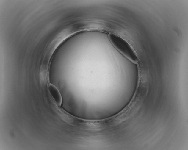 X0000112941473200909071044