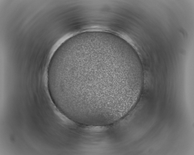 X0000112941474200909071044