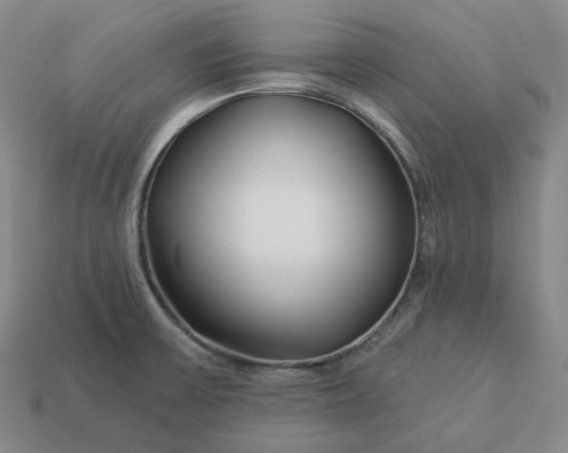 X0000112941475200909071044