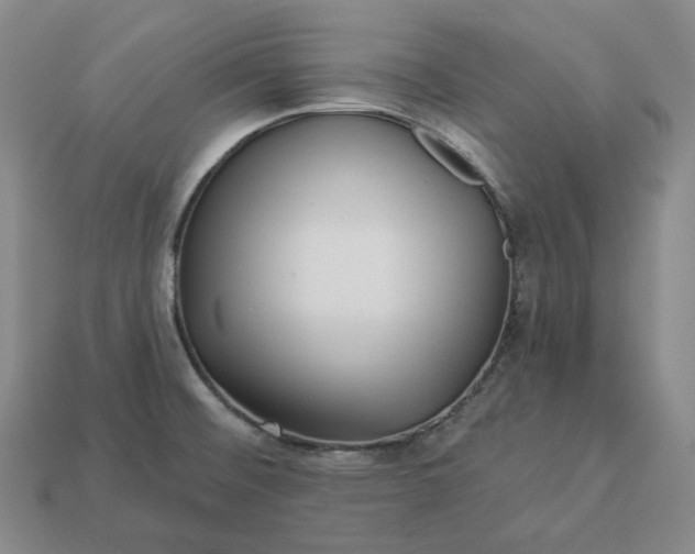 X0000112941476200909071044