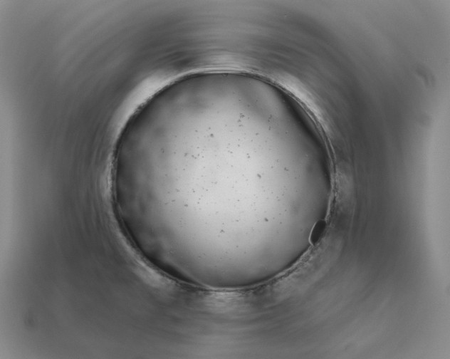 X0000112941477200909071044