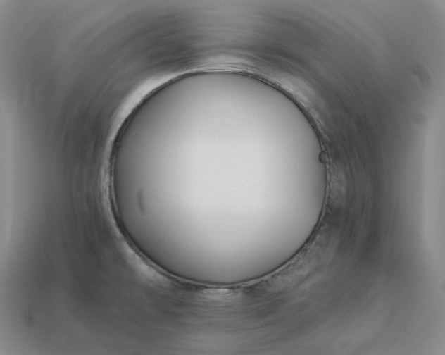 X0000112941478200909071044