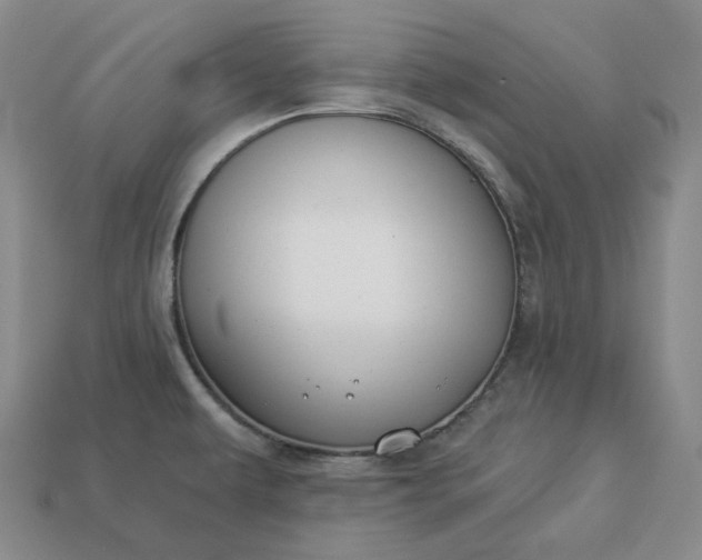 X0000112941479200909071044