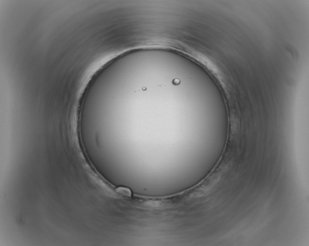 X0000112941480200909071044