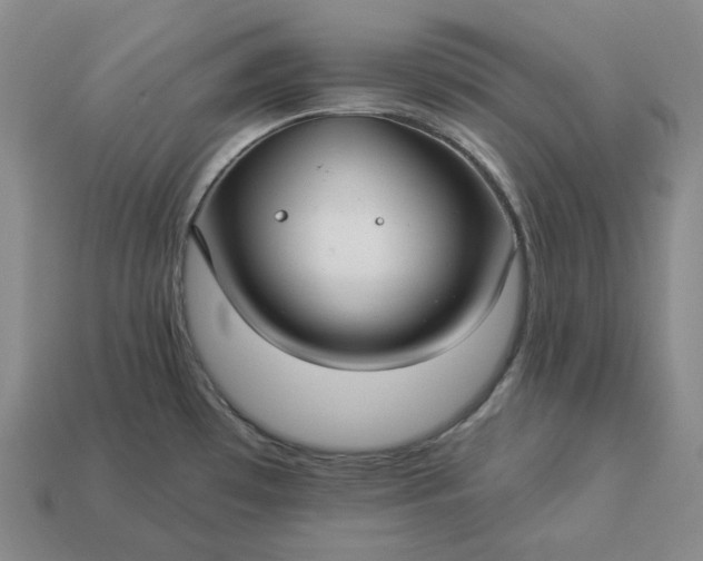 X0000112941481200909071044