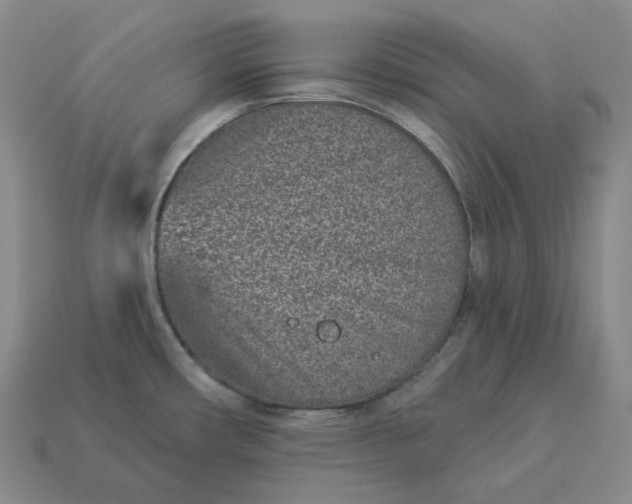 X0000112941482200909071044