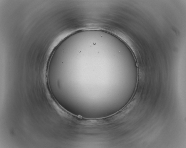 X0000112941485200909071044