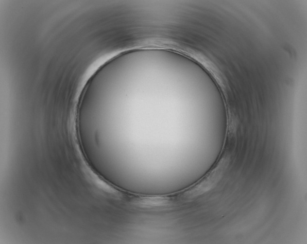 X0000112941486200909071044