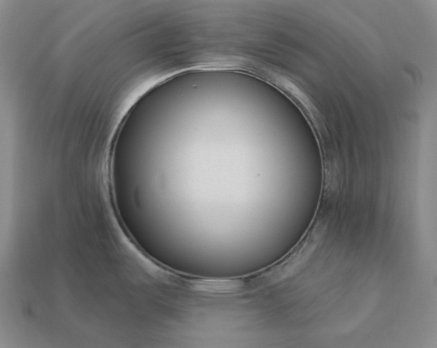 X0000112941487200909071044