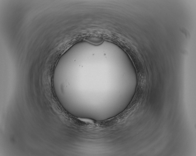 X0000112941489200909071043