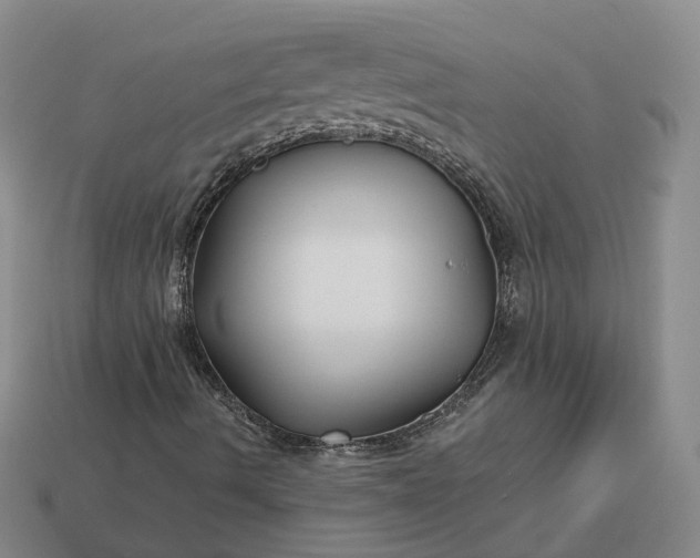 X0000112941490200909071043