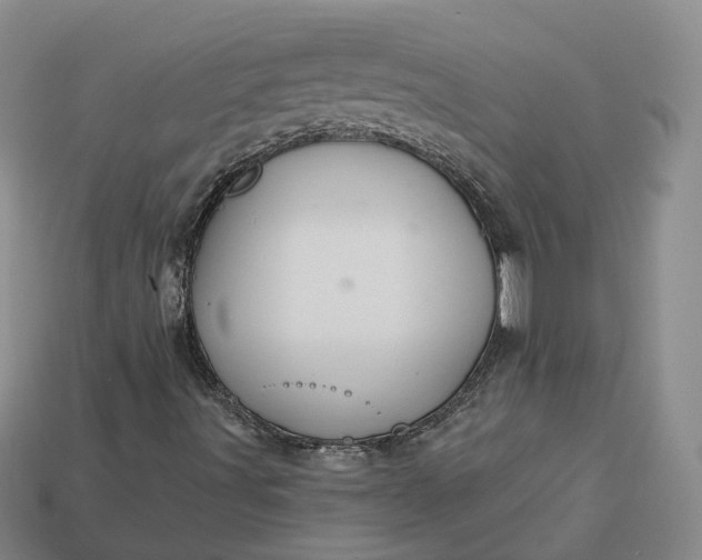 X0000112941491200909071043