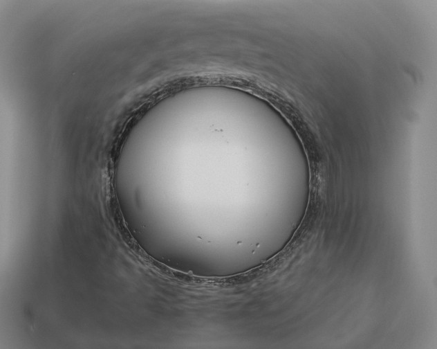 X0000112941493200909071043