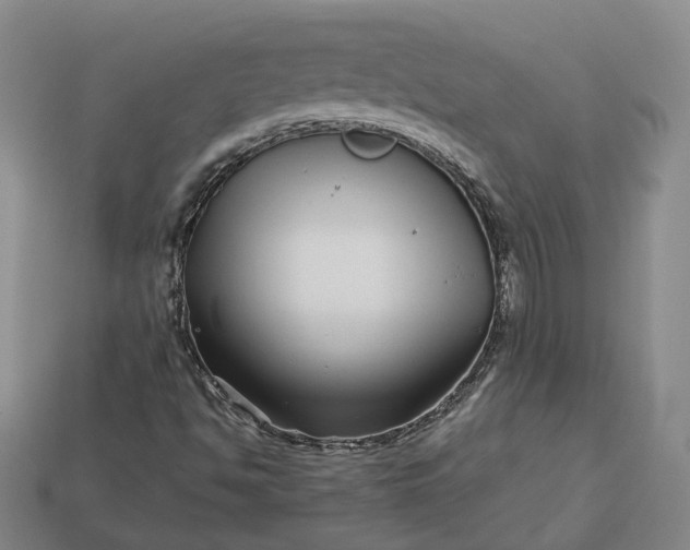 X0000112941494200909071043