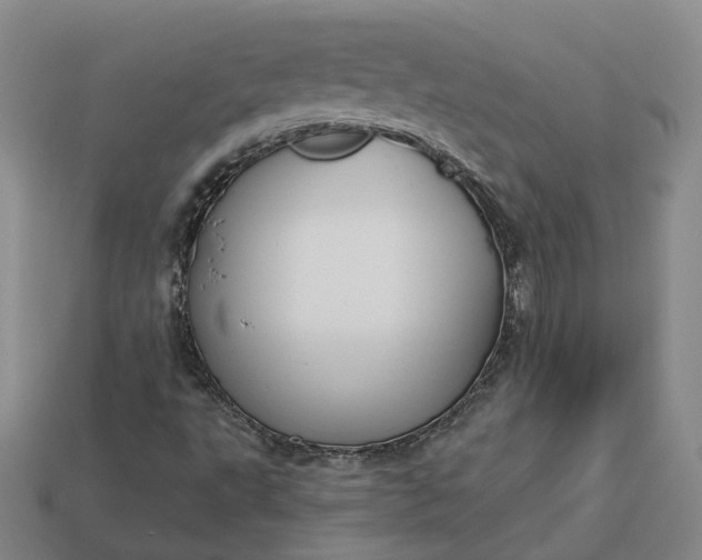 X0000112941495200909071043